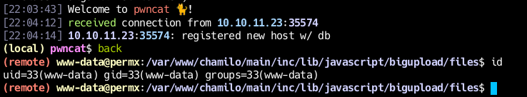 Сессия пользователя www-data