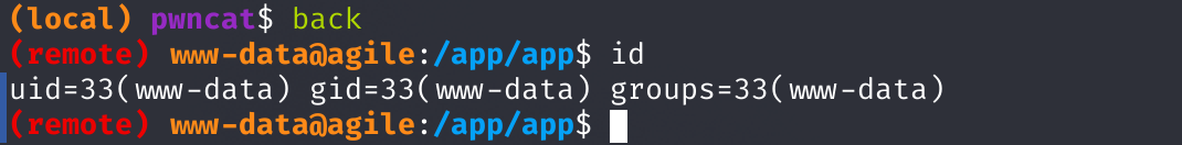 Сессия пользователя www-data
