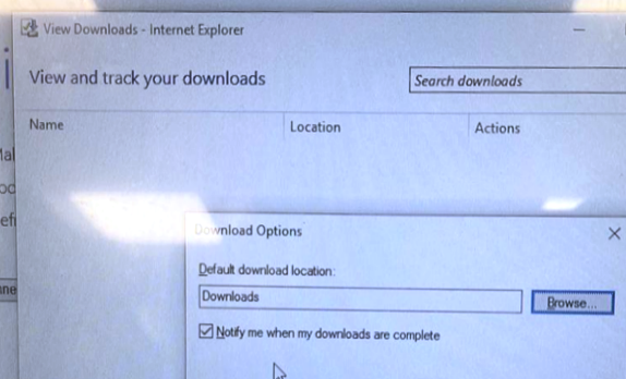 Выбор директории для просмотра загрузок (браузер Internet Explorer)