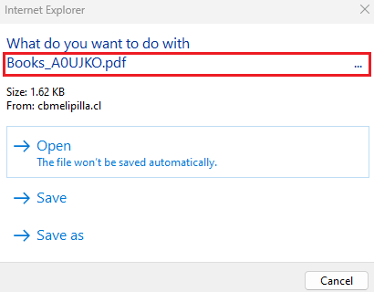 Figure 5: a closer look at the IE dialog - showing the PDF filenameonly