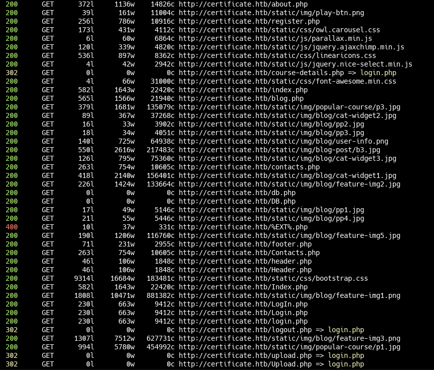 Результат сканирования каталогов с помощью feroxbuster
