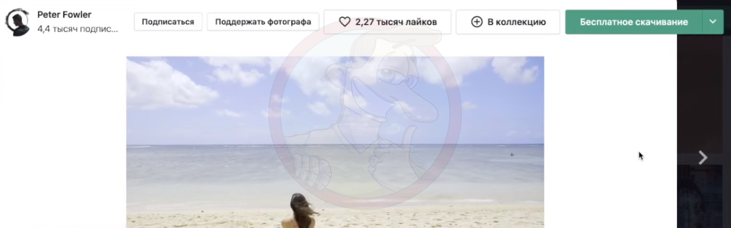 da639d75c78660bbf8162.png