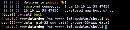 Сессия пользователя www-data