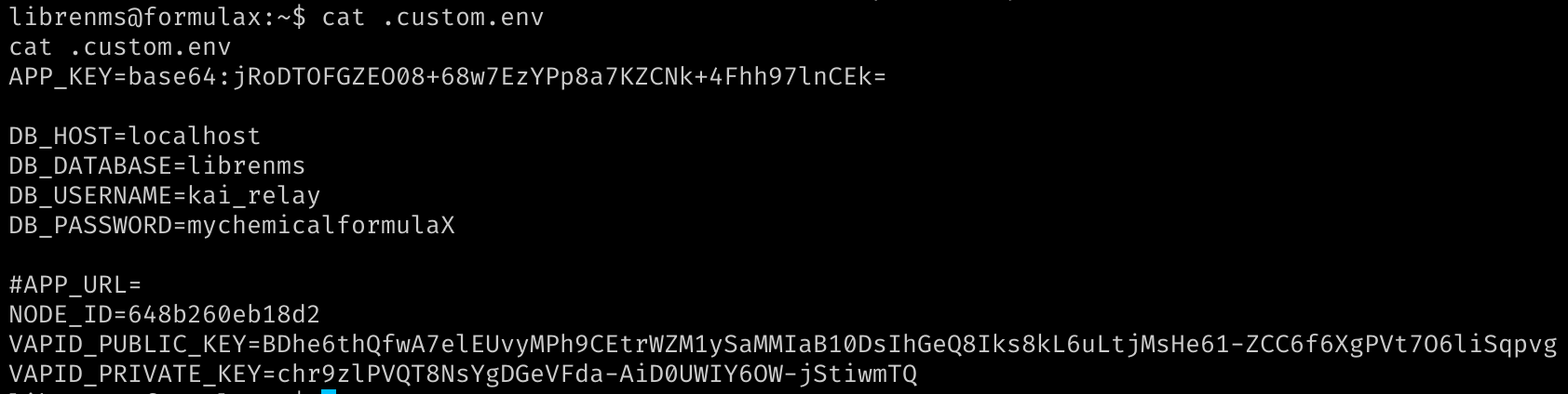 Содержимое файла .custom.env