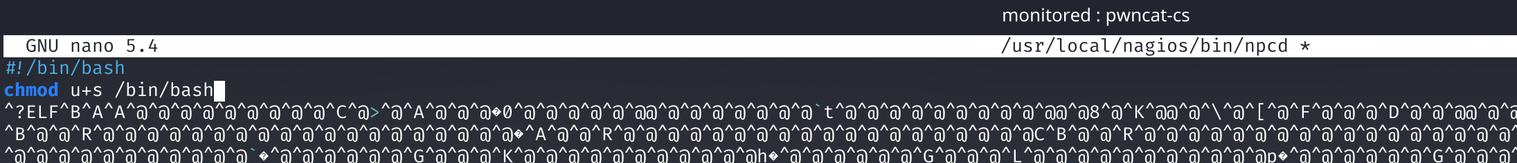 Содержимое файла /usr/local/nagios/bin/npcd