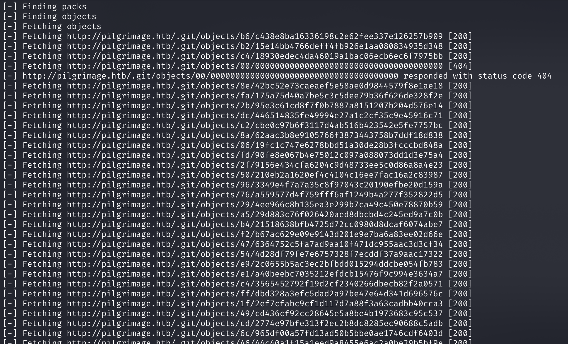 Логи git-dumper